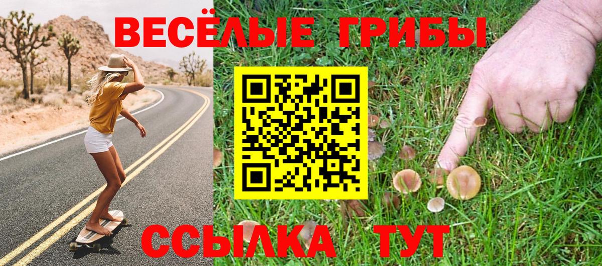 Галлюциногенные грибы MAGIC MUSHROOMS Усть-Джегута